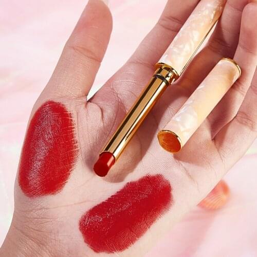 1PCS Makeup Lipstick Matte Lip Gloss Long Lasting Lipgloss Lip Tint Waterproof 10 Color Sexy Lip Glaze Batom Cosmetic TSLM1