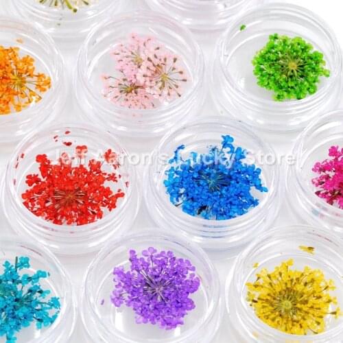 12 colors dried flower for nail art decorations natural nail dry flowers gypsophila paniculate creative manicure tool