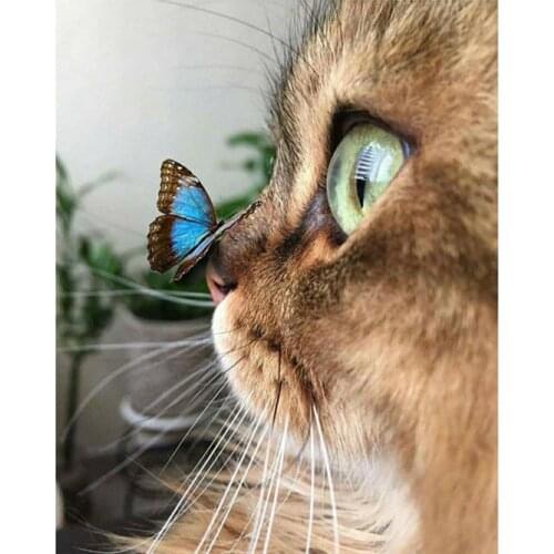 Animal Butterfly Flower DIY Cross Stitch Embroidery Kits Craft Needlework Set Cotton Thread Home Decoration For Living Room