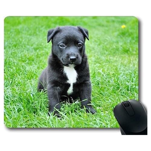 Dogs Galore Mouse Pad,Dog Young Dog Puppy,dogs mouse mat