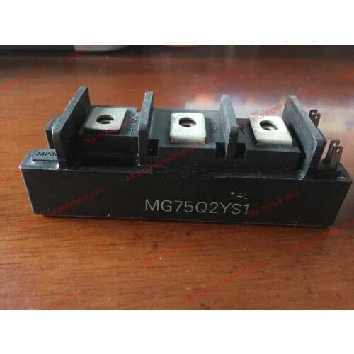 MG75Q2YS1