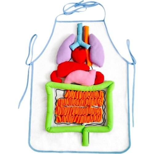 Anatomy Apron Human Body Organs Awareness Educational Insights Toys for Children Preschool Science Homeschool Teaching Aids