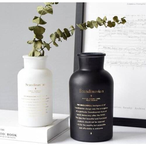 Gilded Hydroponic Glass Vase Simple Glass Vase Ins Simple Glass Vase Light Luxury Home Decoration Vases Black/White