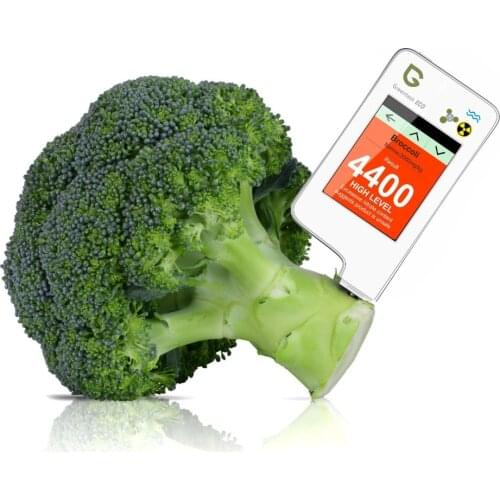 Greentest nitrate tester Eco 5 food tester water nitrate test Radiation detector geiger counter meat fruit vegetables