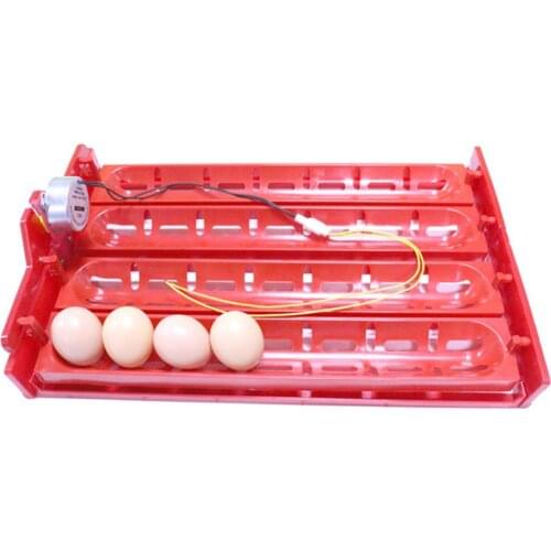 1 Set 32-40 Eggs Incubator Turntable Chicken Duck Goose Poultry Birds Incubation Accessories Hatching Tool 110V/220V/12V Motor