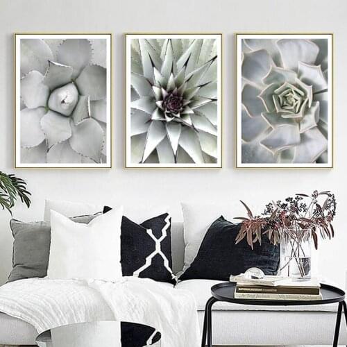 Cactus Plant Picture Home Decor Nordic Canvas Painting Wall Art Realist Fresh Prints and Posters Nordic Decor for Living Room