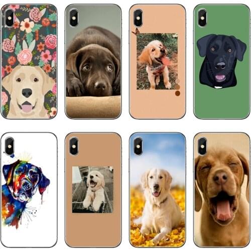 Cute Labrador Retriever Soft Phone Case For Samsung Galaxy A71 A70 A60 A51 A50 A41 A40 A31 A30 A20E A21S A12 A10 A7 A5 A3