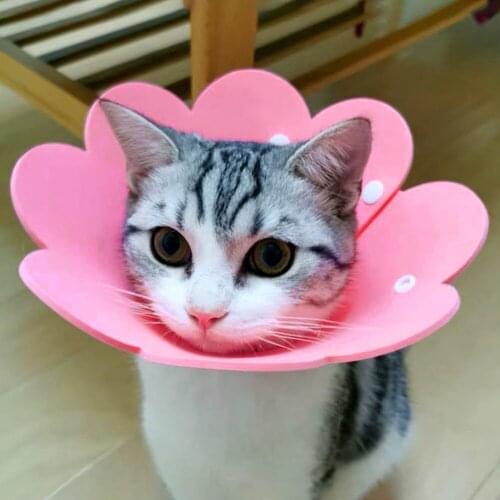 Pets Cat Elizabeth Circle Collar Anti-bite Pet Protection Recovery Collars for Small Dogs Cats Flower Saliva Towel Cloth Pet Sup