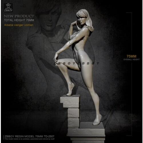 75mm Resin model figure kits beauty self-assembled TD-2507