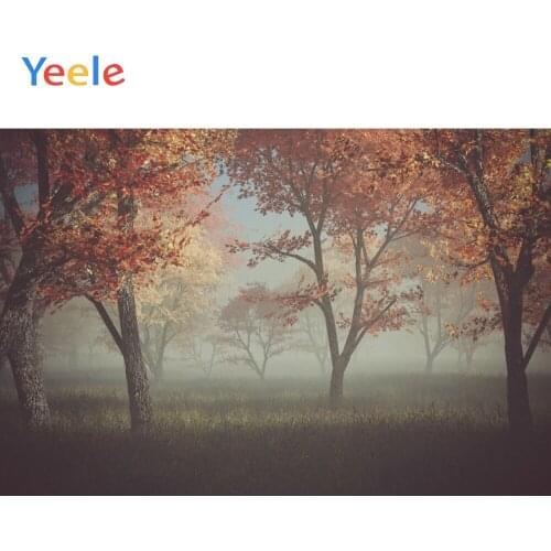 Yeele Landscape Foggy Forest Red Maple Leaves Decor Photography Backdrops Personalized Photographic Backgrounds For Photo Studio