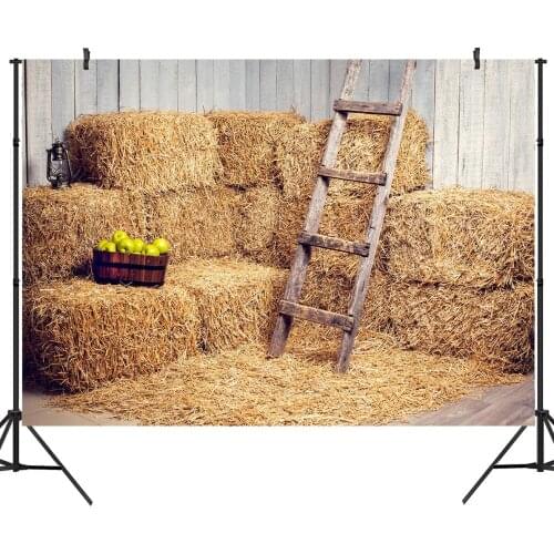 Haystack Autumn Birthday Backdrop Harvest Countryside Village Rural Hay Bale Photo Photography Background Grain Pile Straw Pile
