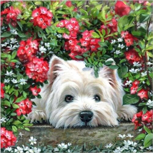 GATYZTORY 60x75cm Diy Frame Flower Puppy Animals Painting By Numbers Kit Modern Wall Art Picture Acrylic Paint By Numbers For Gi