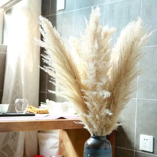 5 stems pampas grass 34'' , dried flowers, pampasgrass, Natural Dried Pampas Grass, Phragmites Communis,Reed Plume,Wedding