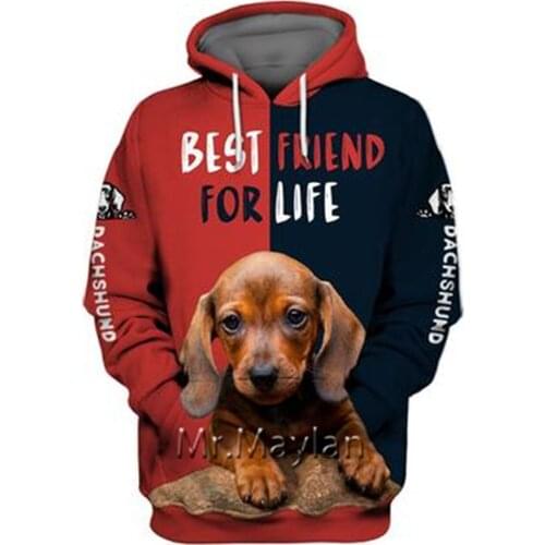 Personality Fashion Animal Dachshund 3D Print Graphic Hoodie Men/Women Streetwear Oversized Sweatshirt Harajuku Tops Pullover-12