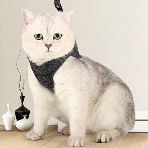 Cat Harness Pets Walking Cats Out Traction Rope For Puppy Kitten Adjustable Collar Small Dogs And Cats Traction Supplies