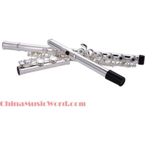 Hot Sale Musical Instrument Flute9(AHDECD-03)