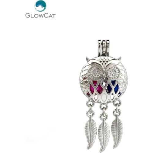 K707 5pcs/lot Silver Alloy Dream Catcher Owl Leaf Pearl Cage Pendant Fairytale Party Essential Oil Diffuser Locket