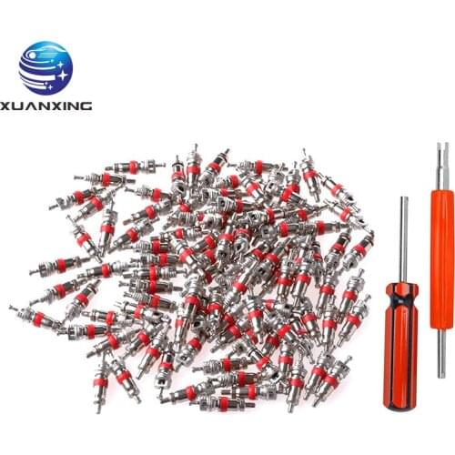 100PCS Tire Valve Core Double Head Spool Remover Repair Kit