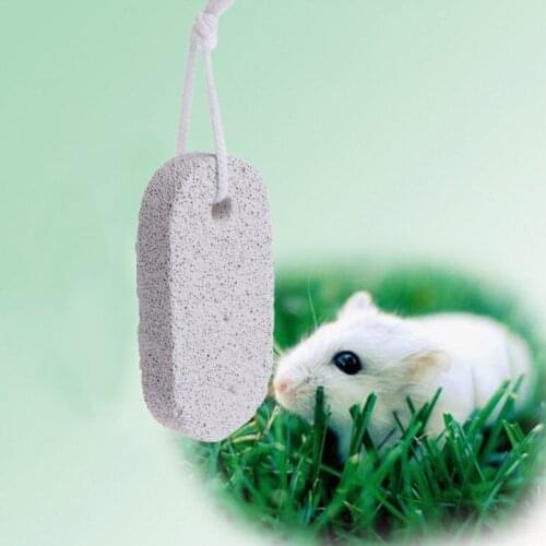 Pet Teeth Grinding Stone Minerals Hamster Rabbit Rat Squirrel Volcanic Chew Toys Au02 21 Dropshipping