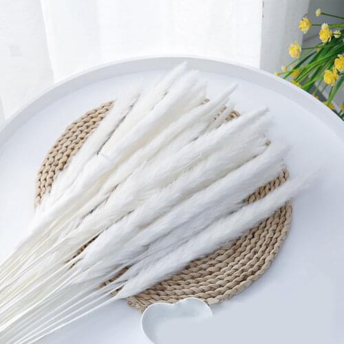 15PCS Hot Sell Bulrush Natural Dried Small Pampas Grass Phragmites Artificial Pampas Grass Bouquet DIY Vase New Year Holiday Wed