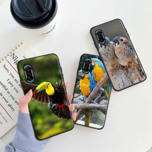 Mussels Xiaomi Poco X3 NFC Phone Cases