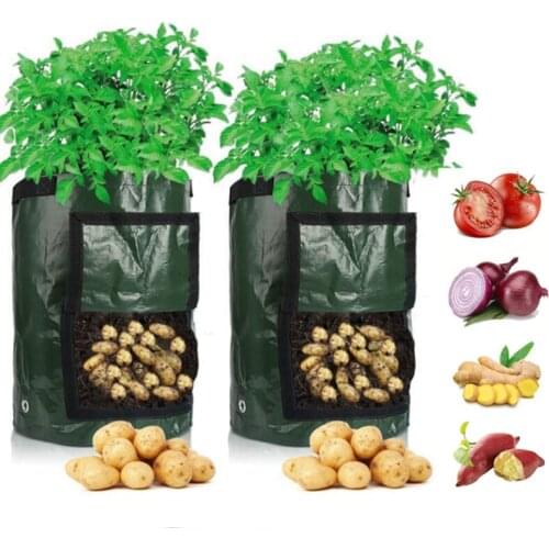 Potato Grow Bag PE Vegetable Onion Plant Bag with Handle Thickened Garden Carrot Taro Peanut Growing Bag