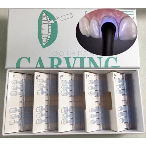 30Pcs/Set Dental Mould Composite Resin Light Cure Anterior Front Teeth Printing Model Fast Quick