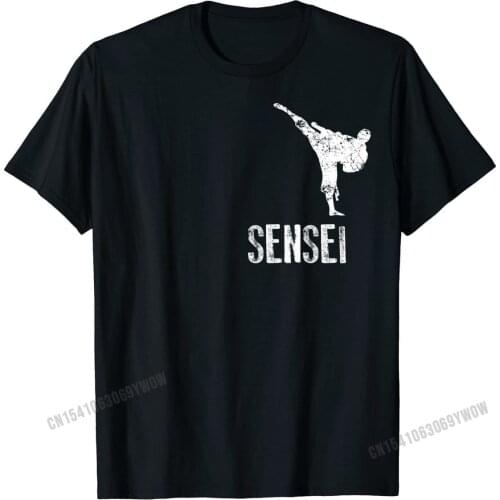 Karate Shirt, Sensei Cool Martial Arts Gift Party Printed Tees Hip Hop Cotton Man T Shirt