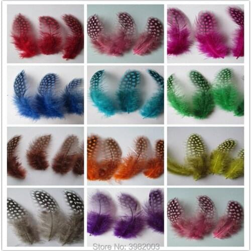 Wholesale 20 pieces of high-quality natural pearl chicken feather length 5-10 cm / 2-4 inch DIY craft decoration