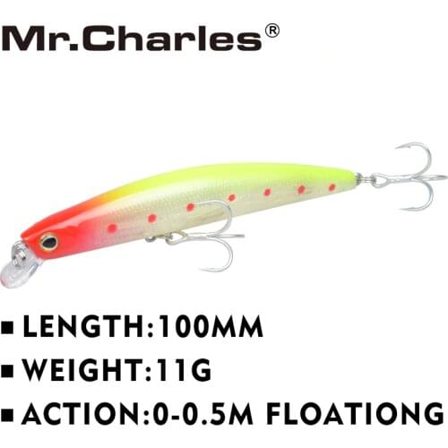 MR.CHARLES Fishing Lure For Carp