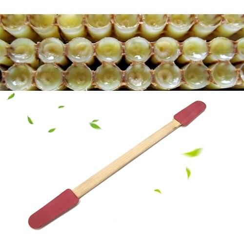 25PCS Beekeeping Bee Grafting Bamboo Wood Picking Pen Stick Portable Royal Jelly Pens Honey Milk Taking Apiculture Bees Tools