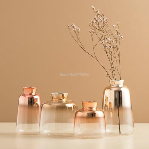 Modern Decorative Vase Glass Tabletop Vase Nordic Decoration Home Hydroponic Transparent Flowers Vases Living Room Decoration