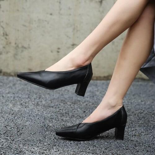 2019 new French girls' high heels fashion pointy spring shallow mouth single shoes womens Retro thick heel large womens shoes