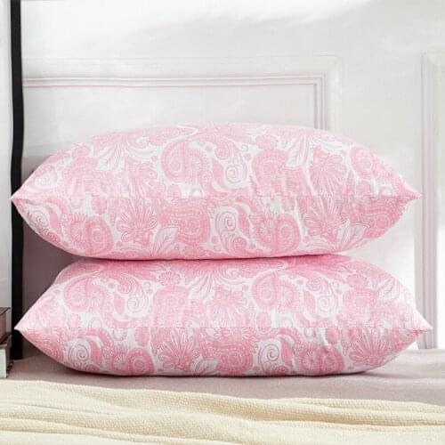 Goose Down Single Double Student Pillow Hotel Washable Pure Cotton Duvet Cover Memory Orthopedic Bedding