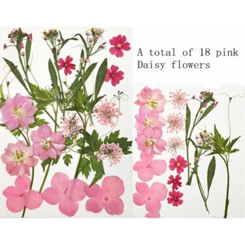 Real Flower Pressed Flower Net Red Sticker Face Decoration Eye Corner Sticker Petal Makeup Fairy Makeup Bridal Makeup Dry Flower