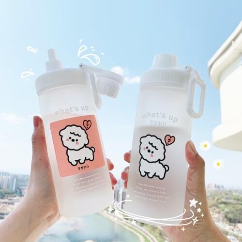 500ML Pretty Kawaii Bottle Portable Clear Milk Carton Water Bottle Cute Glass Cup For Drinking Girl Waterbottle With Straw