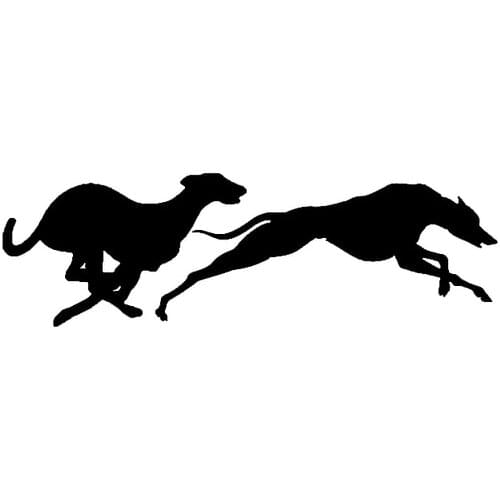 16.5CM*5CM Fashion Racing Greyhounds Vinyl Car Window Sticker Decal Animal Motorcycle