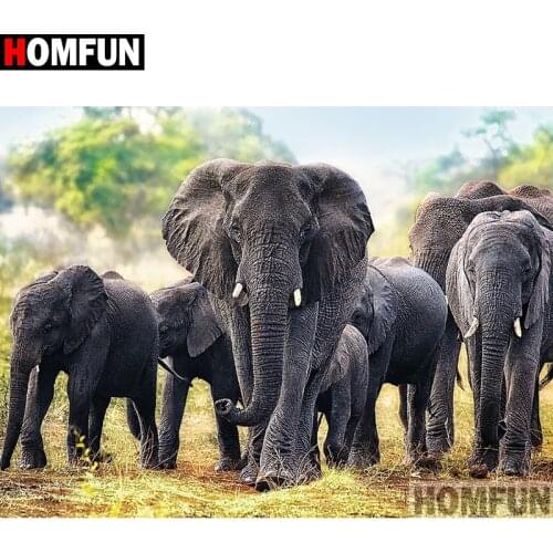 HOMFUN Full Square/Round Drill 5D DIY Diamond Painting "Animal elephant" Embroidery Cross Stitch 5D Home Decor Gift A14903