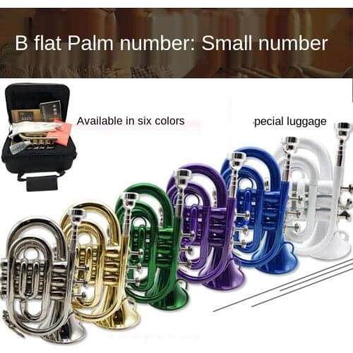 Drop B Patent Gold Palm Number B Flat Pocket Small Number Palm Number Brass Instrument