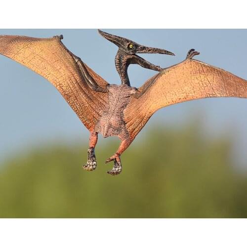 Dinosaur Park World Simulation Pterosaur Pterodactylus Model Action Figures Toy For Kids Gift