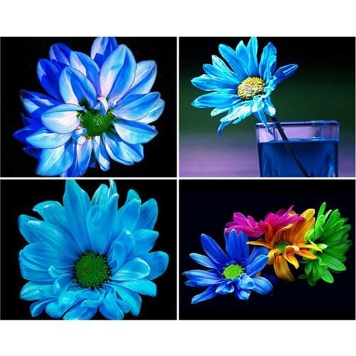 YI BRIGHT 5D Diy Diamond Painting Cross Stitch Kit Diamond Mosaic Embroidery " Flower " Painting Square/Round Drill Gift