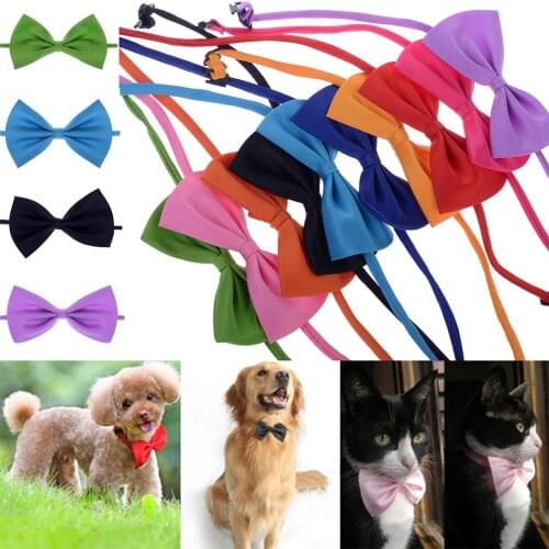 1pcs Random Color Candy Colors Collar Bow Tie Adjustable Neck Strap Cat Dog Grooming Accessories Pet Product Supplies