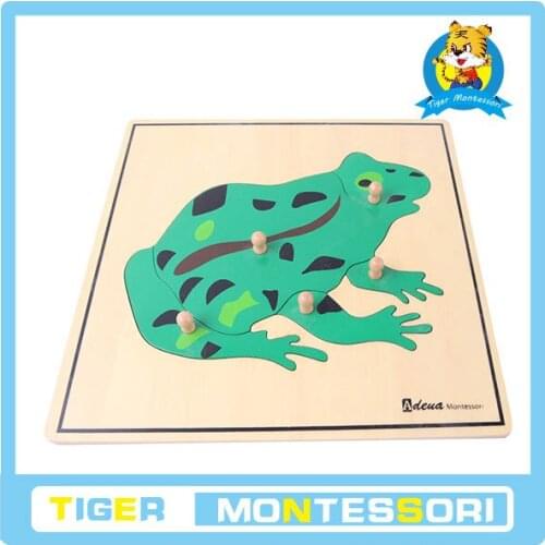 Frog Puzzle wholesale professional montessori material wooden educational toy botany puzzle