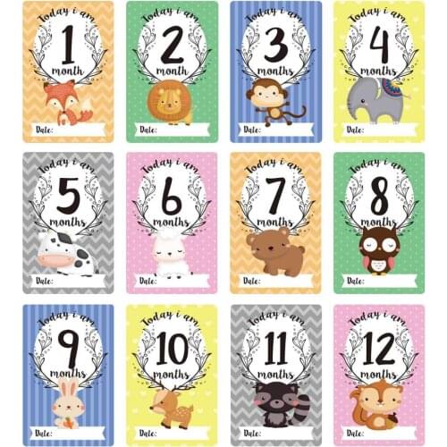 12 Pcs/Set Sheet Milestone Photo Sharing Cards Gift Set Baby Age Cards - Baby Milestone Cards, Baby Photo Cards - Newborn Photo