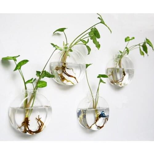 Set of 4 Wall Hanging Planters Glass Plant Pot Air Plant Terrarium Water Plant Containers Glass Terrariums