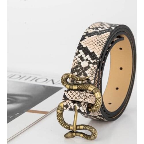 Womens Belt Goth Belts for Women Luxury Designer Brand Punk Pu Leather Jeans Waist Belt Female Streetwear Harajuku Corset