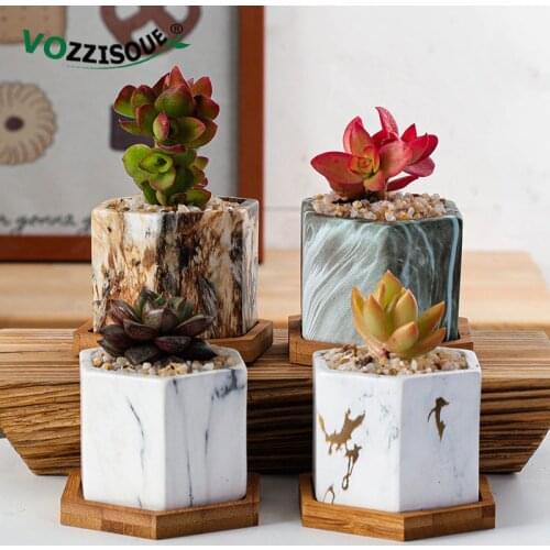 Vozzisoue Flower Seeds China