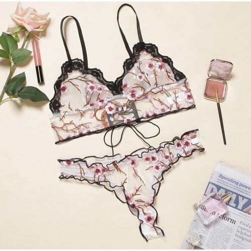 Embroidery Lace Micro Bikini Transparent Lingerie Set Womens Underwear Lace Bra+Panties Sexy Sheer Lingerie Set S-XL