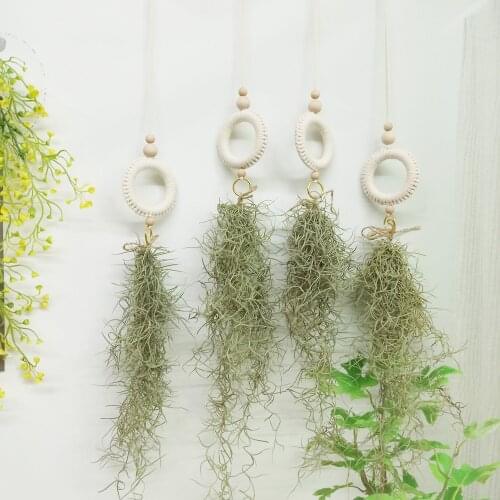 2pc/4pc Macrame Boho Hanging Pendant Tillandsia Usneoides Air Plant Holder Spanish Moss