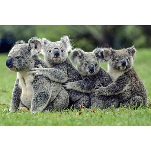 Full Square/round Diamond 5D DIY Diamond Painting Koala Embroidery Cross Stitch Rhinestone Mosaic Home Decor